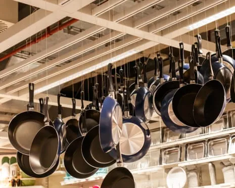Non-Stick Eating, Garlic Milk and Zebra Cows Shine at 2025 Ig Nobel Awards